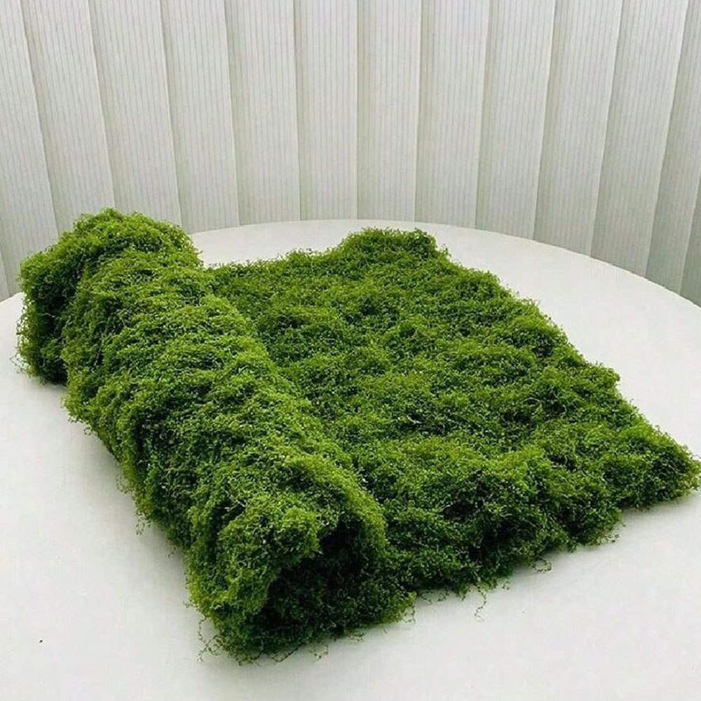 Preserved Moss Sheet - 1*1 متر الطحلب وهمية Crafts بها