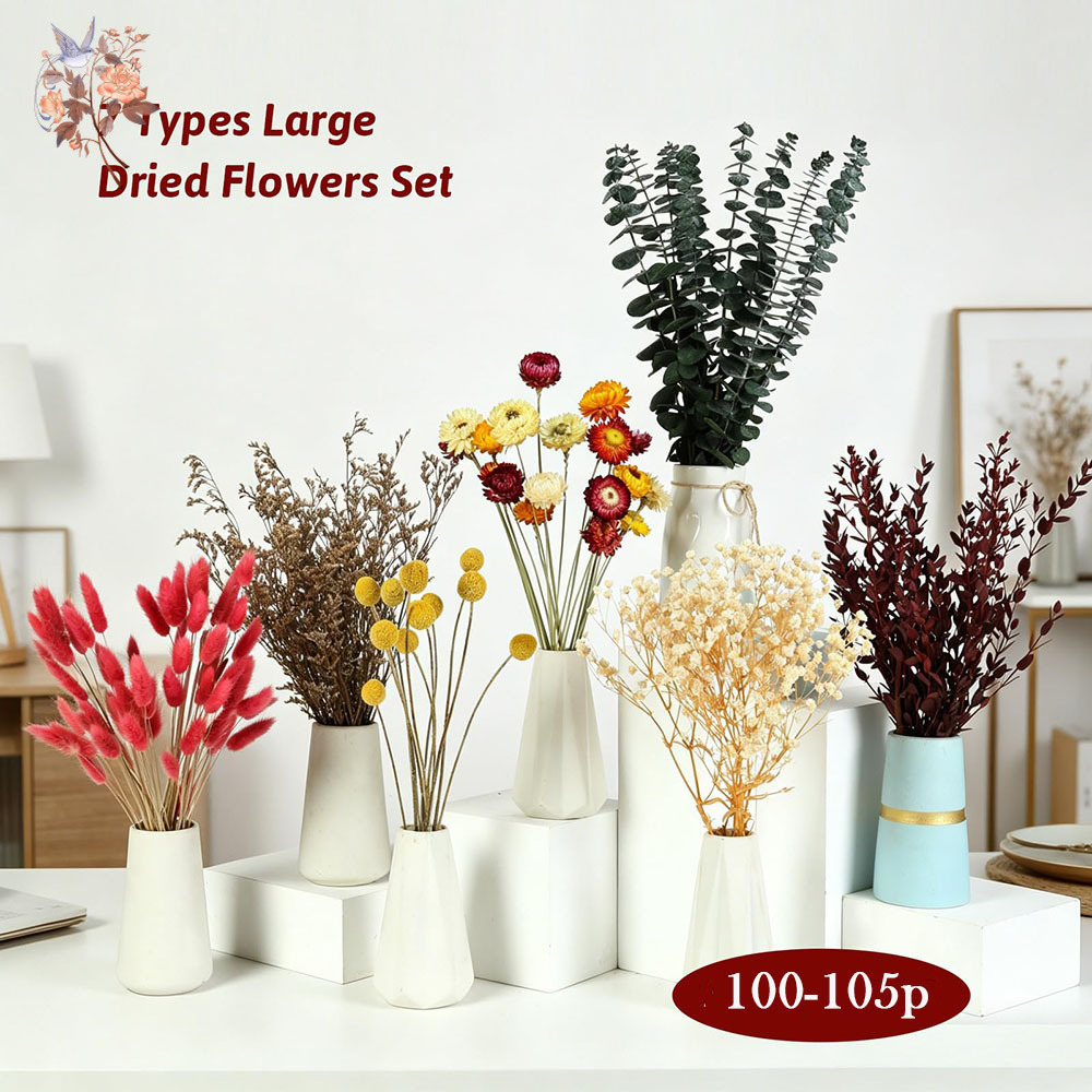 مجموعة كبيرة من الزهور المجففة - مراجعة Florist Flower Supply وسعره