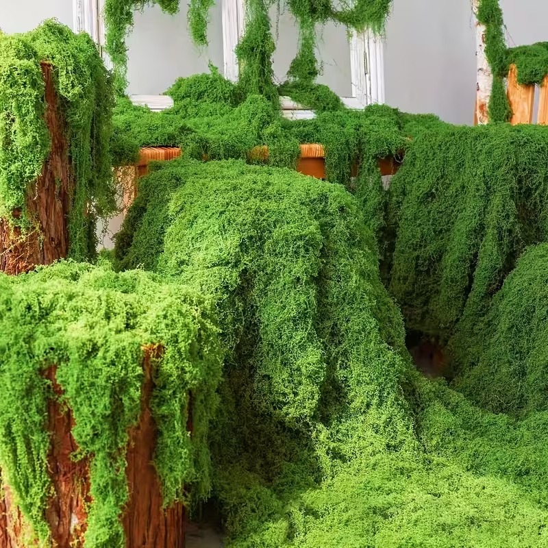 نبات بيونيك عشب الطحلب الاصطنا - مراجعة Preserved Moss Sheet وسعره
