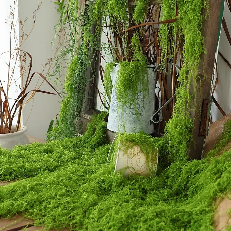 نبات بيونيك عشب الطحلب الاصطنا - مراجعة Preserved Moss Sheet وسعره