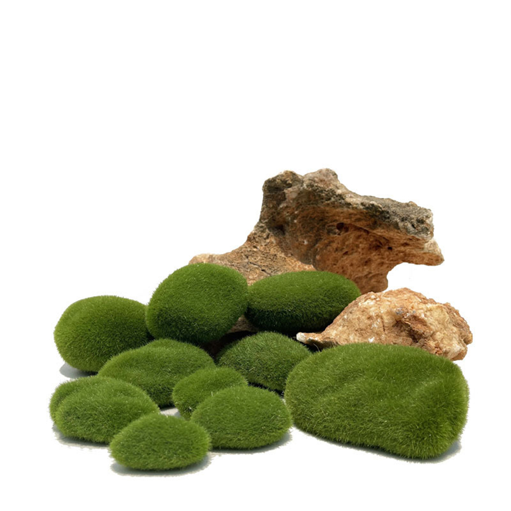 الاصطناعي وهمية الطحلب الصخور  - مراجعة Preserved Moss Sheet وسعره
